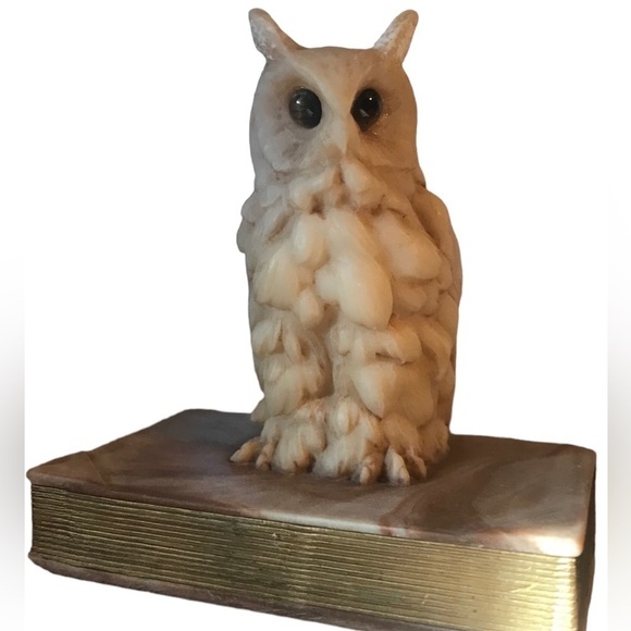 Genuine Stone Carved Owl on Book Tigers Eye Stone Vintage Decor Paperweight